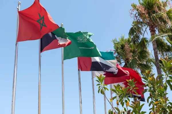 Middle East Countries we Serve (3)